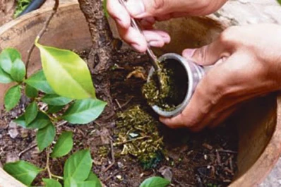 10 ideas para evitar que la comida termine en la basura