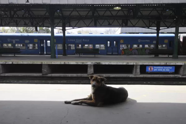El Gobierno ordenó rescindir contratos con concesionarias de trenes