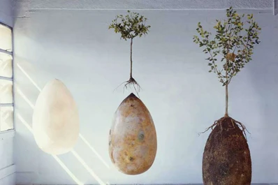 Crean ataúdes en forma de cápsula para cuidar el medioambiente