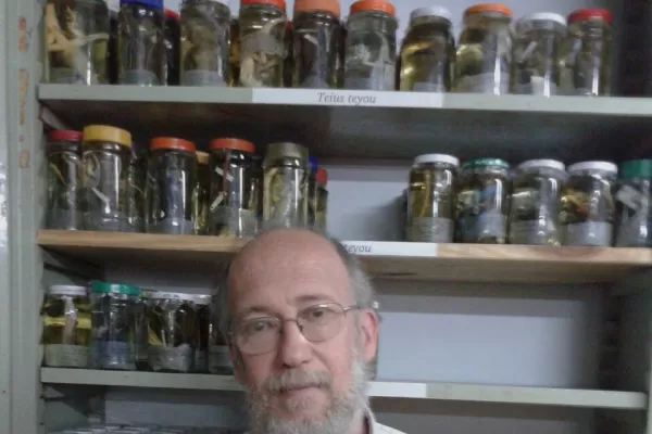 La contaminación ambiental y los agroquímicos están acelerando la extinción de las ranas