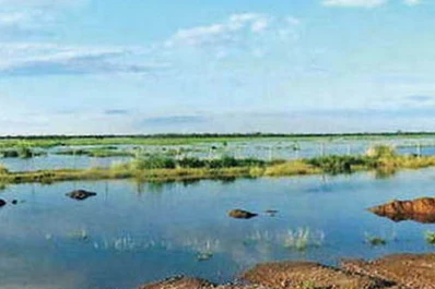 El desborde del río Dulce dejó más de 80 evacuados en Santiago