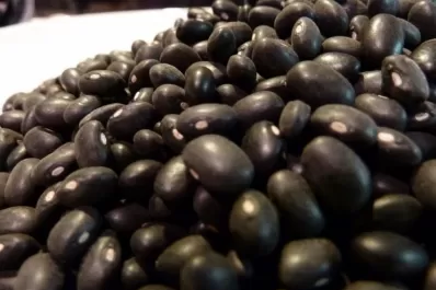 El poroto atrajo al productor de Tucumán ante las dificultades de cultivos como la soja y el maíz