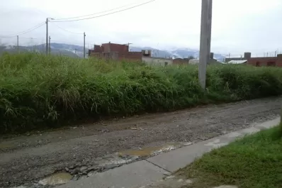 Un barrio de Villa Carmela parece una selva