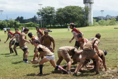 “Naranjitas”en maduración