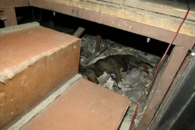 Estudiantes denuncian que una sala de la Facultad de Artes está destruida