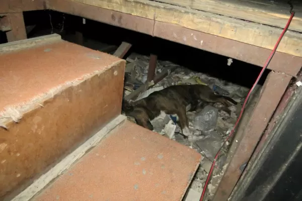 Estudiantes denuncian que una sala de la Facultad de Artes está destruida