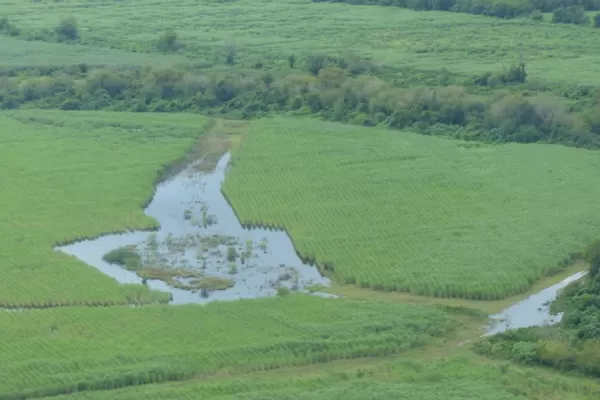 El temporal saturó suelos e inundó campos