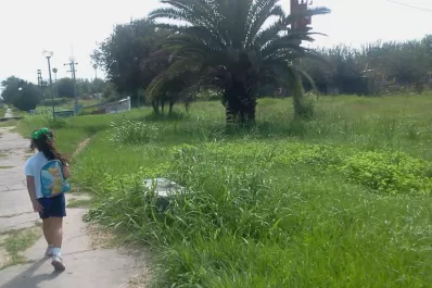 Vecinos de Esquina reclaman mantenimiento para una plaza