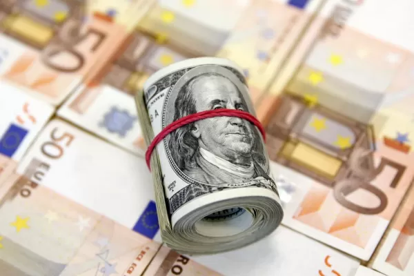 La moneda europea cayó frente al dólar