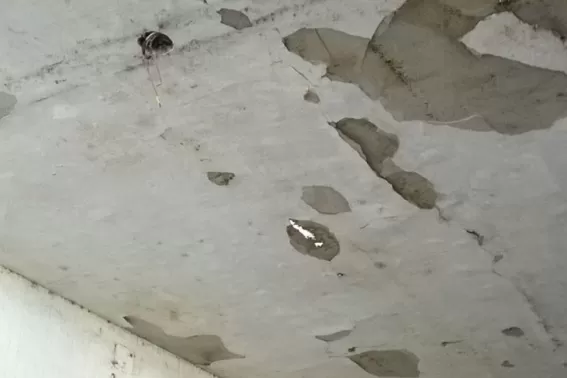 El techo se desprende en una escuela de El Cadillal