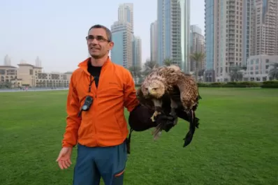 Así se ve Dubai desde la perspectiva de un águila