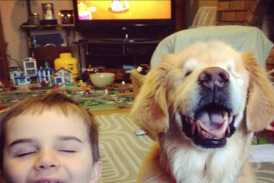 Smiley, el perro ciego que cuida niños y ancianos es furor