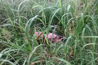 Tratan de identificar el cuerpo de la mujer encontrada al costado de la ruta 157