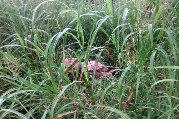 Tratan de identificar el cuerpo de la mujer encontrada al costado de la ruta 157