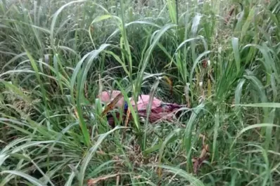 La mujer hallada muerta habría recibido un hachazo en la cabeza, según la fiscala Reinoso Cuello