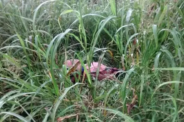 La mujer hallada muerta habría recibido un hachazo en la cabeza, según la fiscala Reinoso Cuello