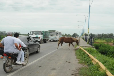 “El entorno del puente Barros no es seguro”, denuncian los vecinos