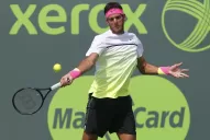 Del Potro no pudo hacer magia