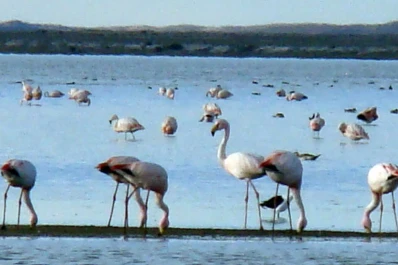 Ecoturismo en el Parque Nacional Laguna de los Pozuelos