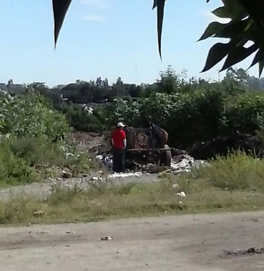 Los vecinos que viven en las márgenes del río Salí piden urgente desmalezamiento y limpieza