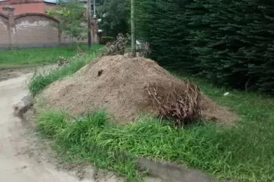 Se busca el paradero del camión verde