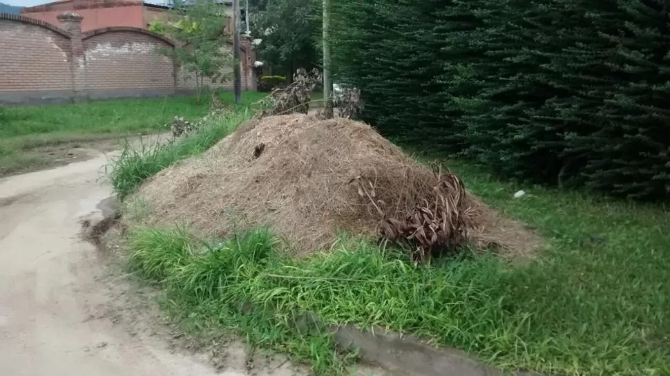 MONTAÑAS DE PASTO. Así luce la zona de La Rinconada. 