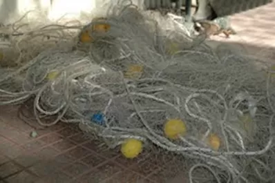 Secuestran más de 1.000 metros de redes utilizadas para pesca ilegal, en Las Termas