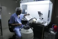 Mujeres jóvenes congelan los óvulos para postergar el sueño de ser mamá