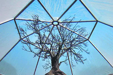 El arte también se aprecia con la nariz