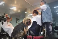 En la peluquería, Pachu supervisa los peinados