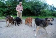 Vive en el cerro y siempre tiene lugar para uno más