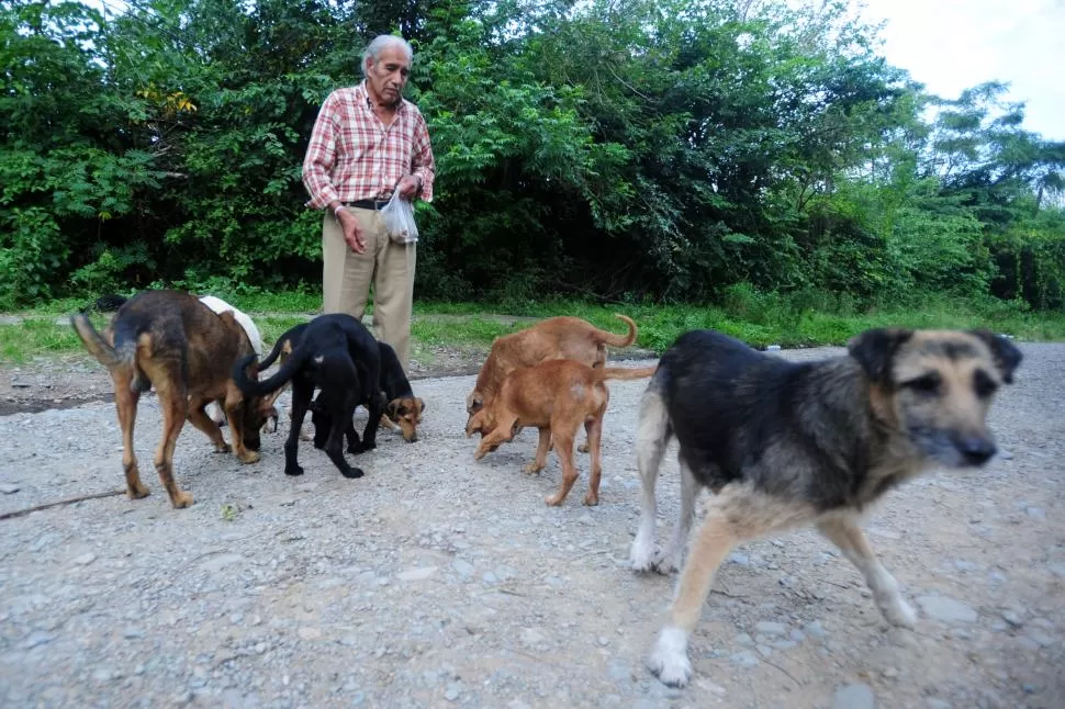 CORAZÓN FERROVIARIO Mario Peralta y su hermana María Ester reciben a todos los perros vagabundos. la gaceta / foto de juan pablo sanchez noli