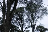 Yerba Buena: denuncian la venta de lotes irregulares en El Corte