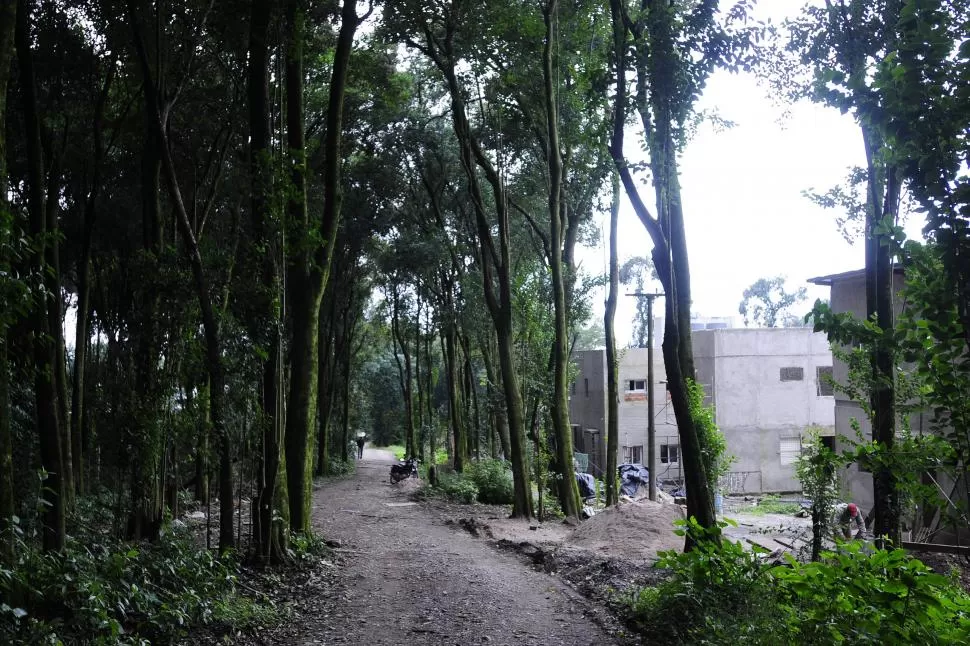 CONFLICTO. Vecinos de Yerba Buena pidieron explicaciones por el avance del cemento en zonas protegidas. la gaceta / foto de Analía Jaramillo