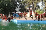El clímax estuvo en la pileta