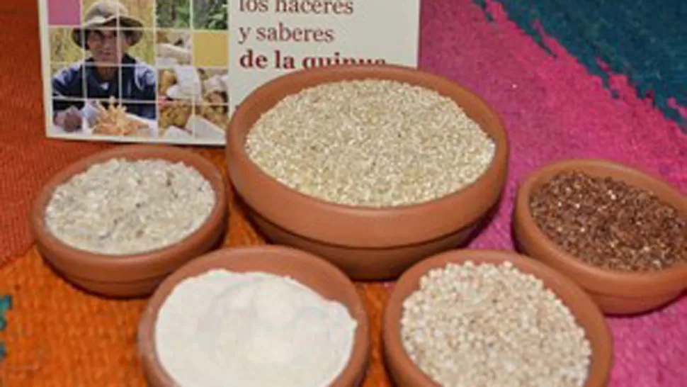Presentarán platos con quínoa, durante un simposio internacional sobre granos andinos