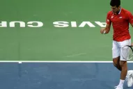 Djokovic puede sumarse a último momento para la Copa Davis