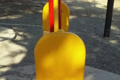 Ensuciaron los juegos del parque Guillermina con materia fecal