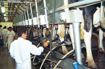 La producción nacional de leche subió sólo un 5% en 15 años