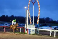 Adeso, por la gloria