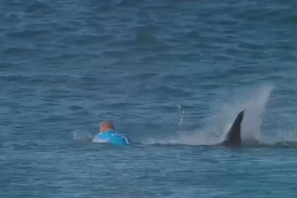 En plena competencia, casi se lo come un tiburón