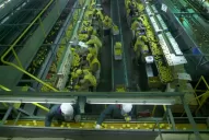 Leve suba del empleo privado en Tucumán