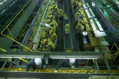 Leve suba del empleo privado en Tucumán