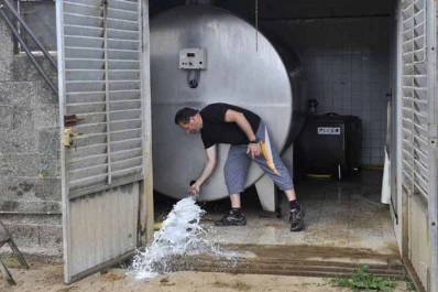 Por un conflicto tambero tiran miles de litros de leche a la calle