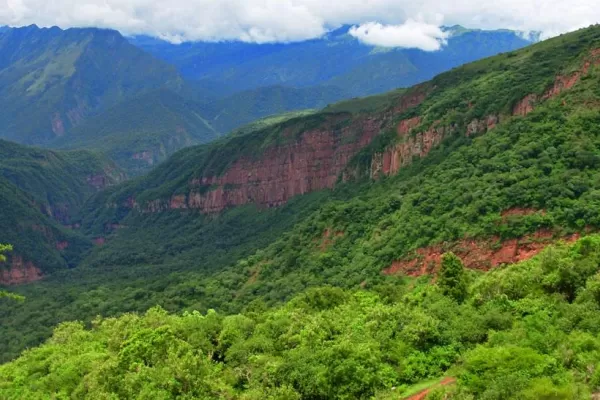 Abrirán un Centro de Interpretación e Información Turística en el Parque Nacional Calilegua