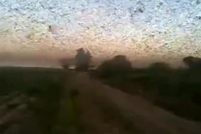 Una manga de langostas asoló casi 1.500 hectáreas de cultivos en Santiago del Estero