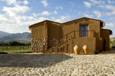 Una experiencia sensorial entre vinos y luces