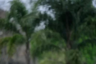 “Pigu” va de frente en Virginia