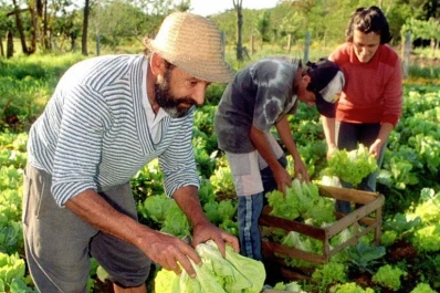 La Nación aportará $ 38 millones para pequeños y medianos productores de Catamarca