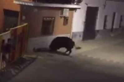 España: impactante muerte de un hombre en una corrida de toros
